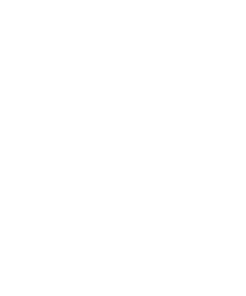 Alcance Services